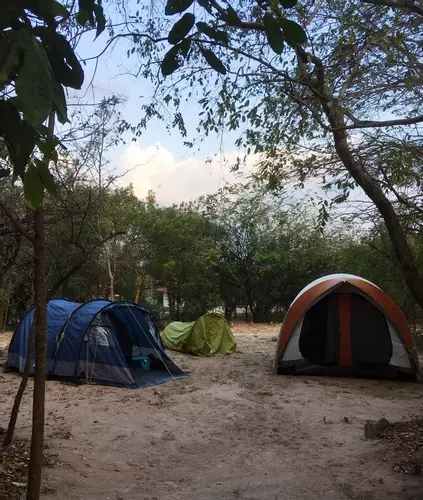 Shady camping bay